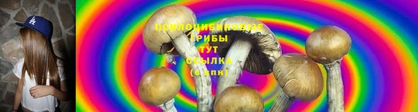 герыч Арсеньев
