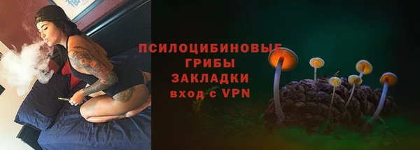 трава Армянск