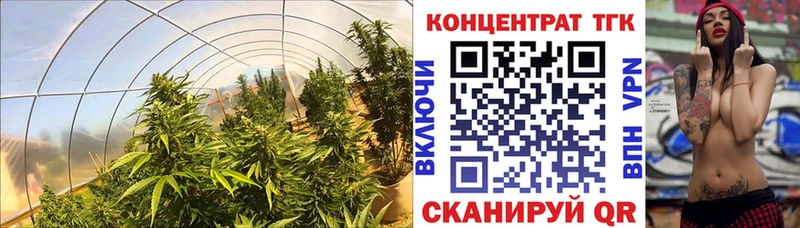 ТГК концентрат  купить закладку  Ревда 