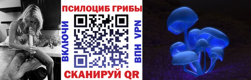 Галлюциногенные грибы прущие грибы  Ревда 